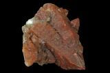 Natural, Red Quartz Crystal Cluster - Morocco #135697-1